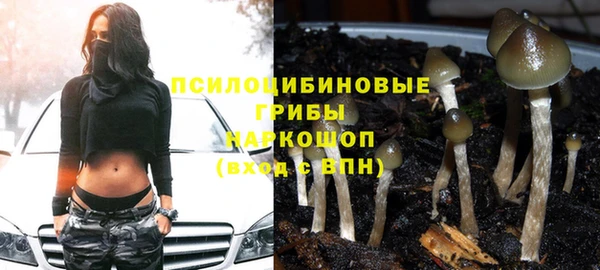 соль курить ск Гусев